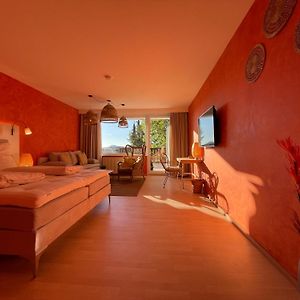 Single Room Mountain View